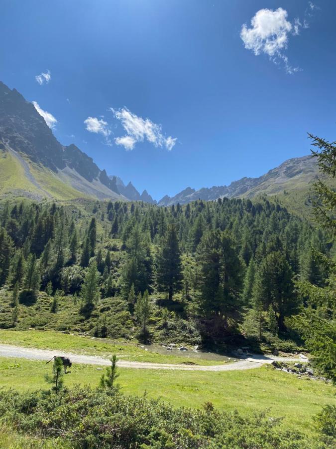 Apart Wiesenplatzl Kaunertal Exterior foto